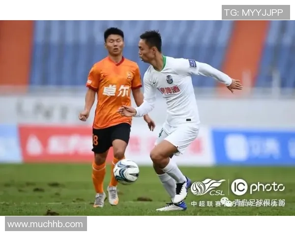 武汉排球队在杯赛中的节奏掌控与表现分析