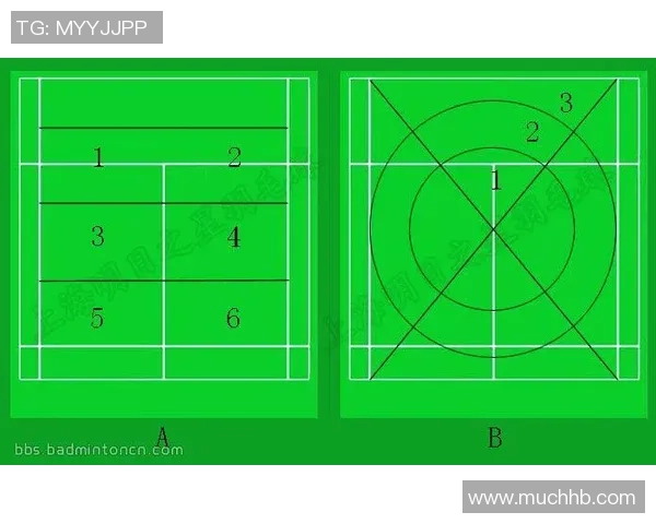 深圳羽毛球队总决赛战术分析与表现评估探讨 深圳羽毛球队总决赛战术分析与表现评估探讨