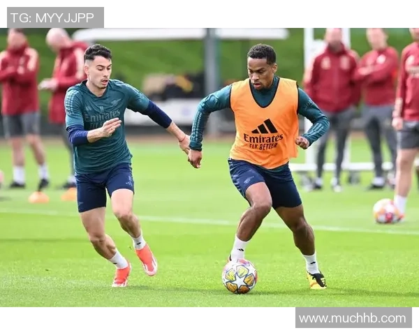 足球明星腿伤瞬间曝光背后的故事与恢复之路揭秘