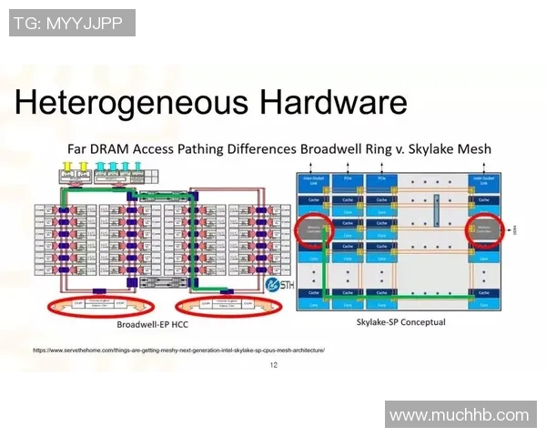 独家分析：杭州羽毛球队的耐力对比