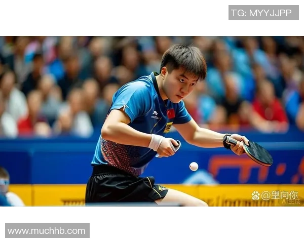 聚焦网球：南京网球队的战术话题