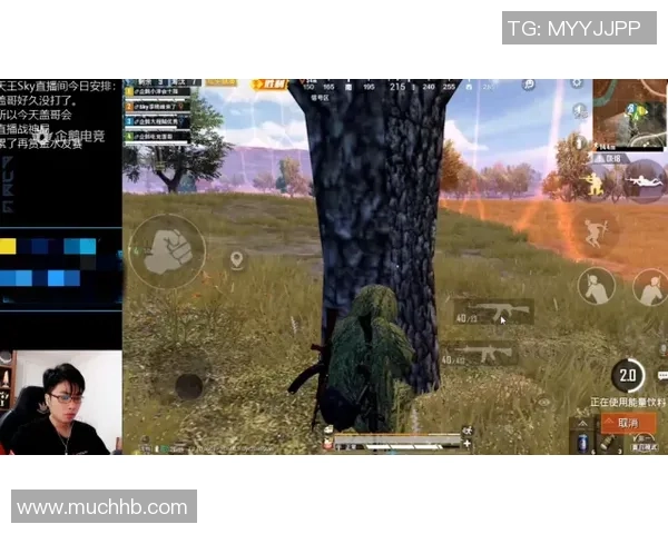 2026和平精英节奏排行榜：RNG位居第8名