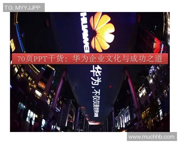 专访杨强:解密网球成功之道 专访杨强:解密网球成功之道